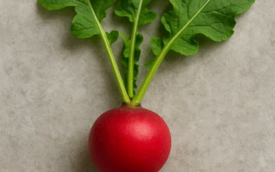 RABANO MALO O BUENO?