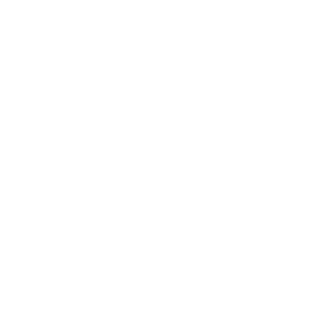 Dr Levi